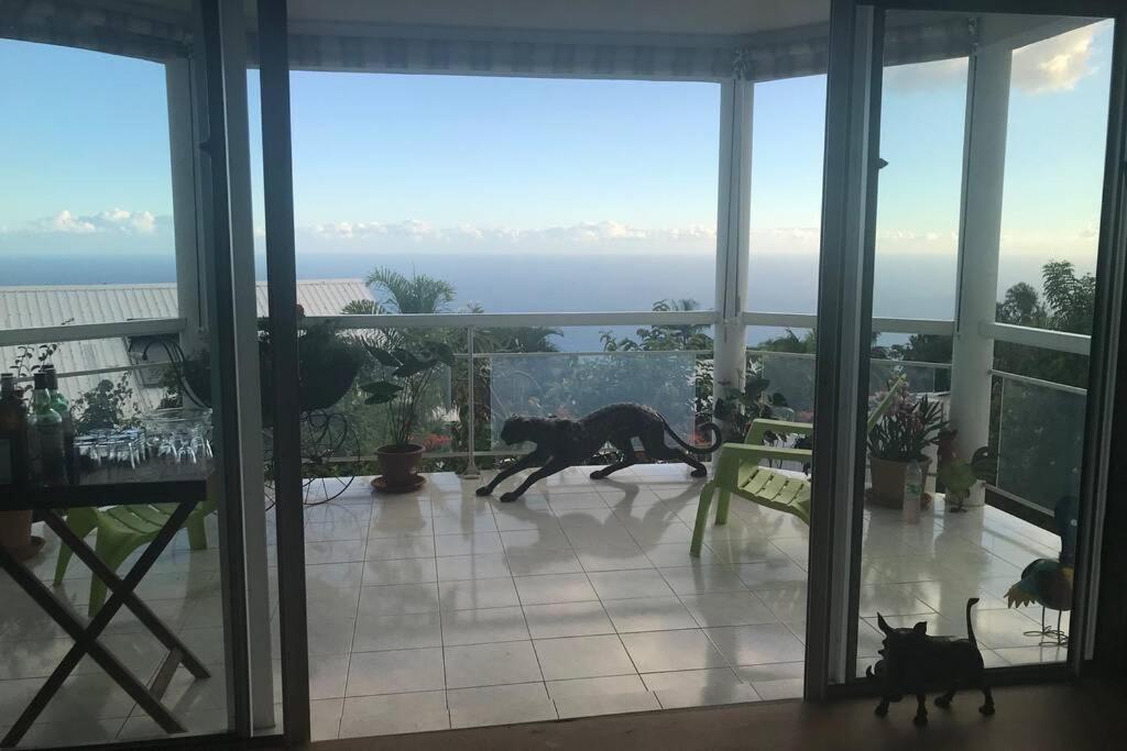 St Leu -Villa d'artiste, superbe vue mer, piscine chauffée Saint-Leu Extérieur photo